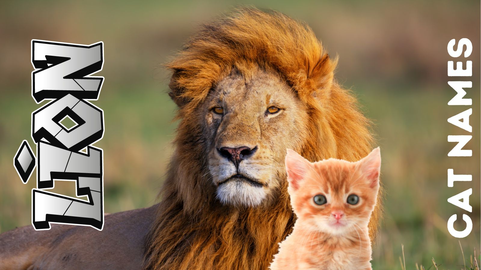 featured lion cat names