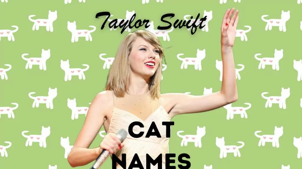 featured taylor swift cat names
