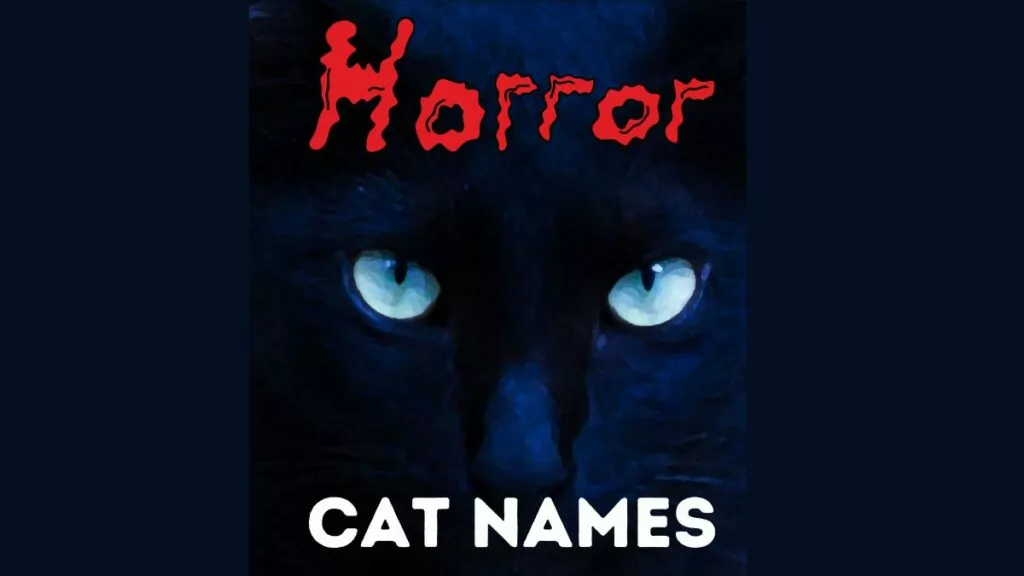 featured horror cat names