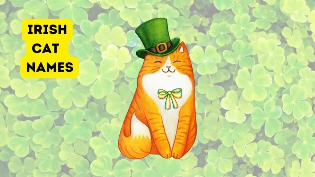 featured irish cat names