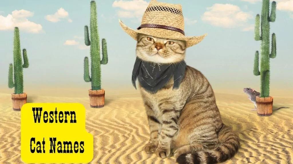 featured western cat names