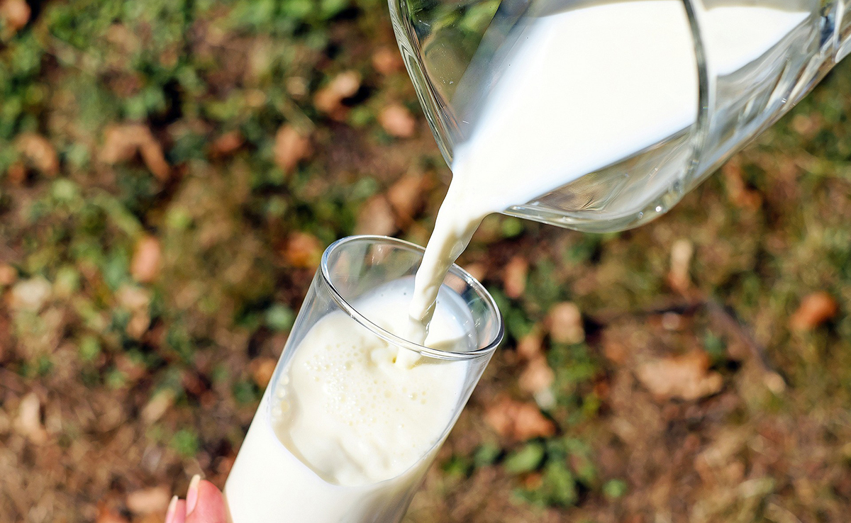 Von welchen Tieren außer der Kuh, der Ziege oder dem Schaf trinken wir Milch?