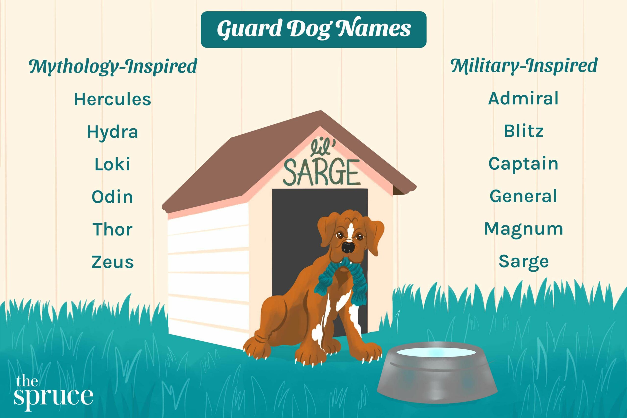 guard dog names 4845528 color 3d123c50ce2846c5bc3562152a895679 scaled