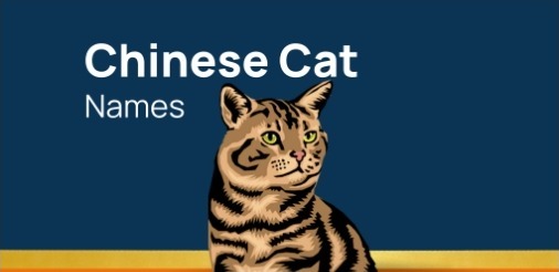 Chinese Cat Names