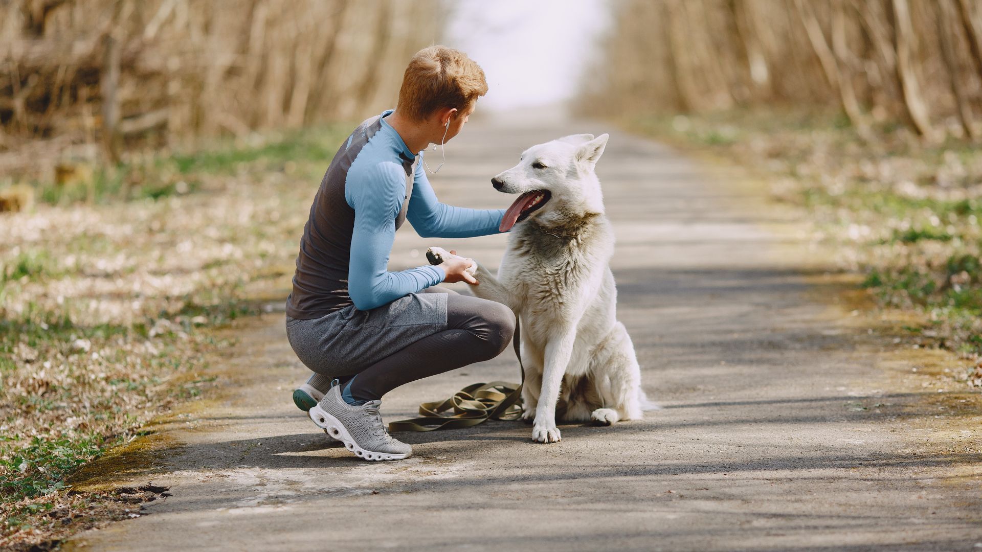 Gentle Dog breeds