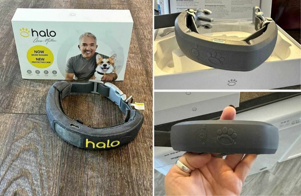 Testbericht zum Halo-Hundehalsband