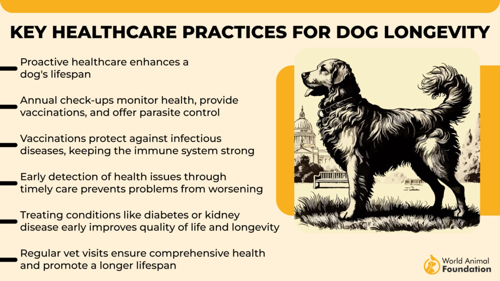 Wichtige Gesundheitspraktiken für Hunde Longevit