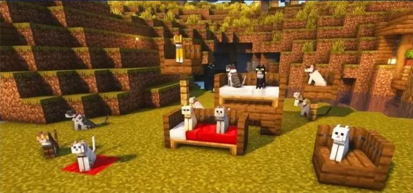 Minecraft-Katzennamen