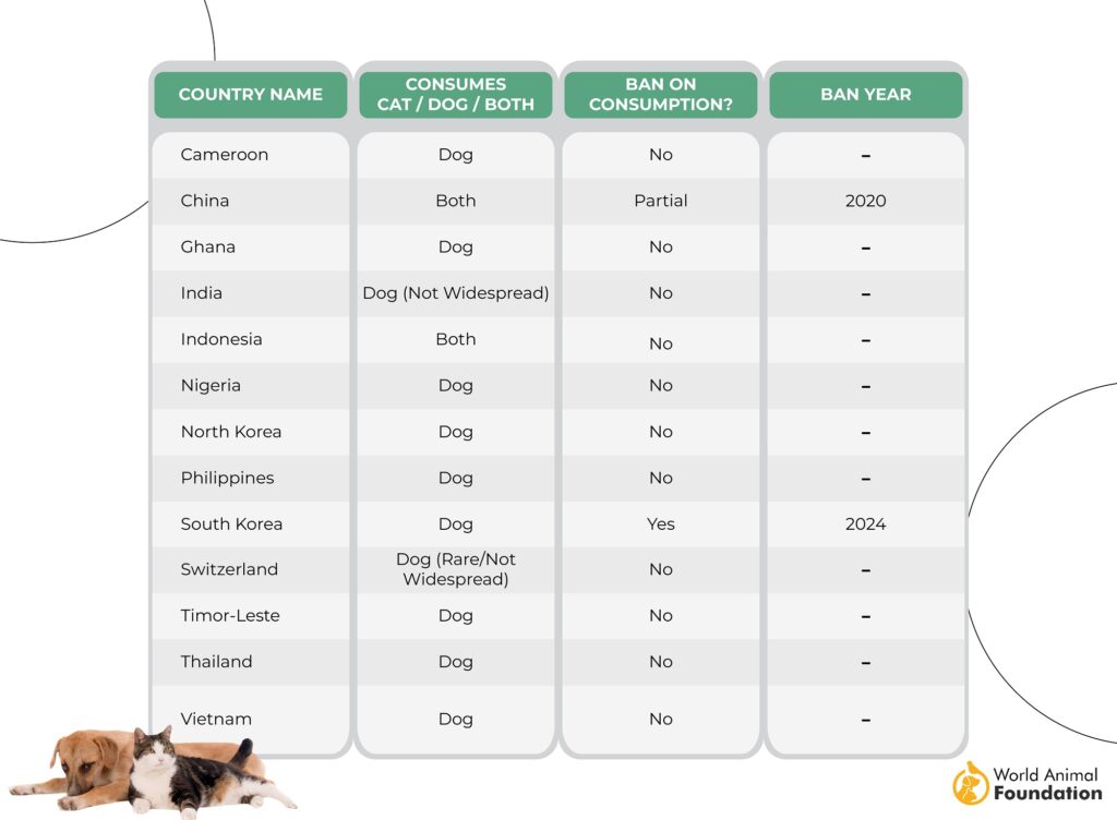 In welchen Ländern werden Hunde und Katzen gegessen?