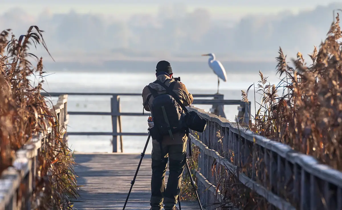 Warum sagen Fotografen: „Der kleine Vogel kommt heraus“? Woher kommt dieser Ausdruck?