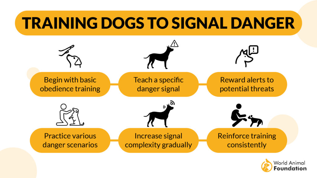 Hunde trainieren, um Gefahren zu signalisieren