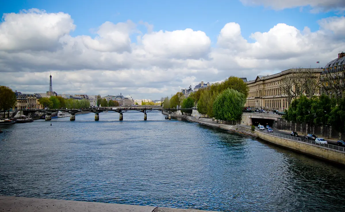 Diese wilden Tiere, die wir in der Seine, im Herzen von Paris, beobachten können!