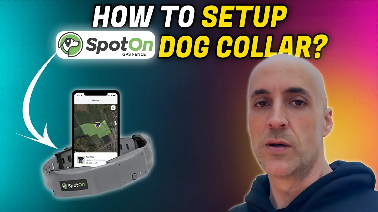 how to setup spoton dog collar