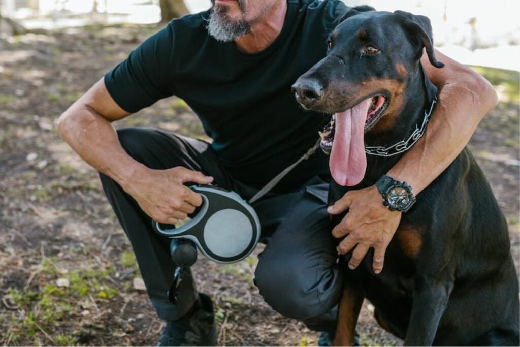 Ist Dobermann ein guter Wachhund?