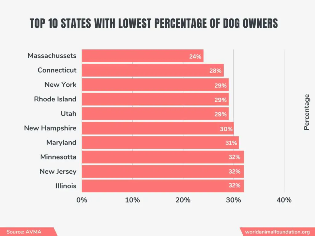 Population von Hunden