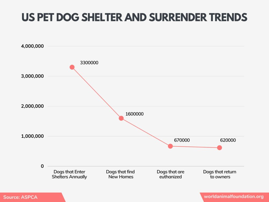 Hunde in den USA