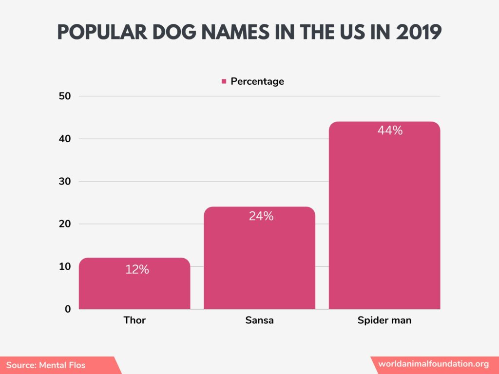 Hunde in den USA