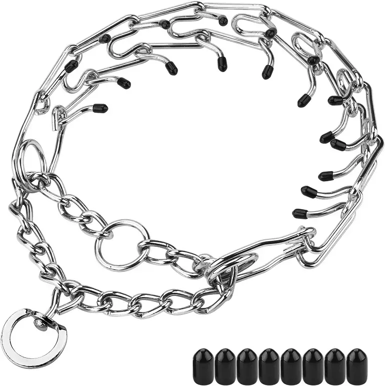 Aheasoun Prong Collar Review 1