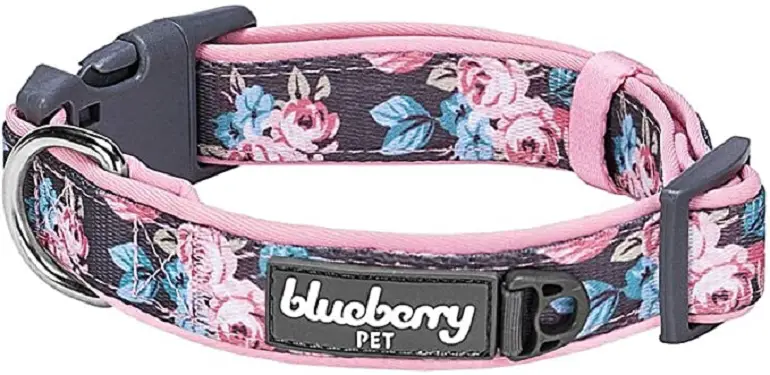 Blueberry Pet Flower Print Neoprene Padded Dog Collar review