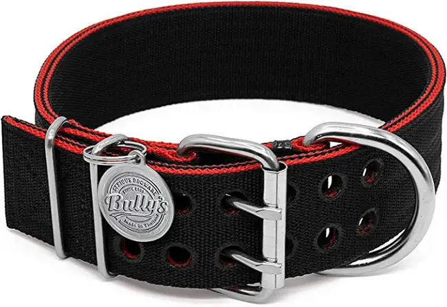 Bullys Pit Bull Collar review 1