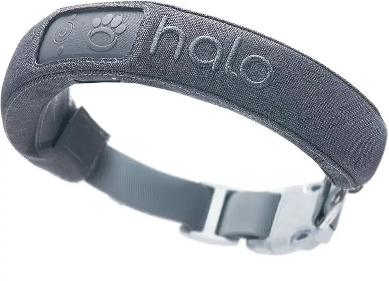 Halo air tag for dogs review