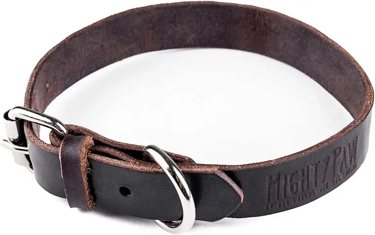 Mighty Paw Leather Dog Collar review 2