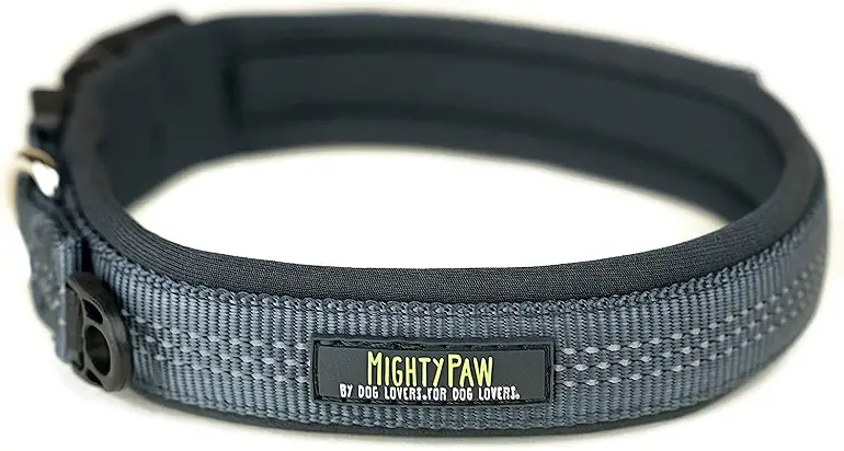 Mighty Paw Neoprene Padded Dog Collar review