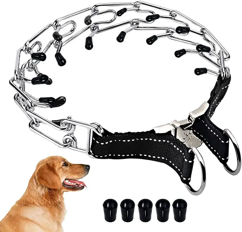 Bestes Stachelhalsband für das Hundetraining