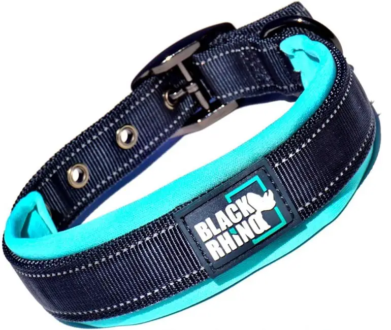 dog collar for sensitive skin review