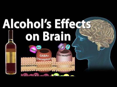 The 23 “Science Facts” Everyone Still Believes That Are Actually Complete Nonsense