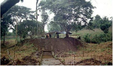Ancient Amazonians Built 6,000 Connected Platforms – Lost Civilization Found