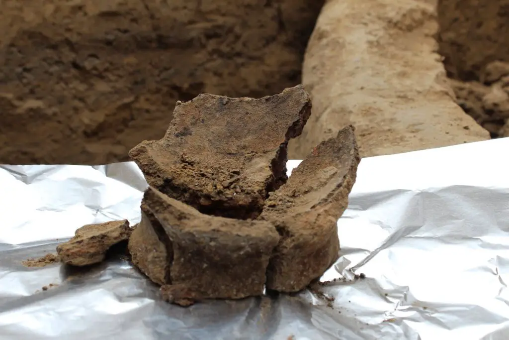 Researchers Find World’s Oldest Wine in 8,000-Year-Old Clay Jars in Georgia