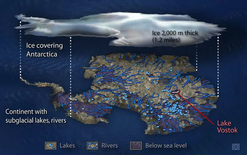 Breaking Ice: Revolutionary Discoveries Reveal Antarctica’s Hidden Biological Treasures