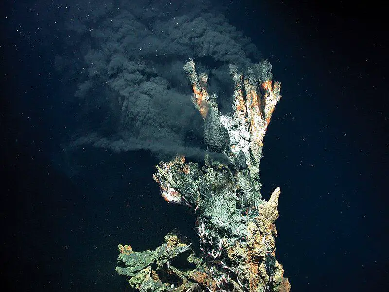 15 Steps from Non-Living to Living: How Life May Have Evolved