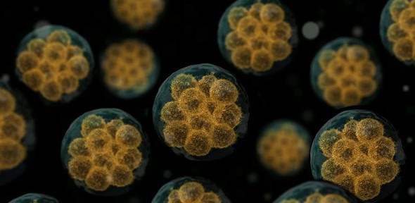 Scientists Built a Computer Out of DNA—And It’s Already Solving Cancer