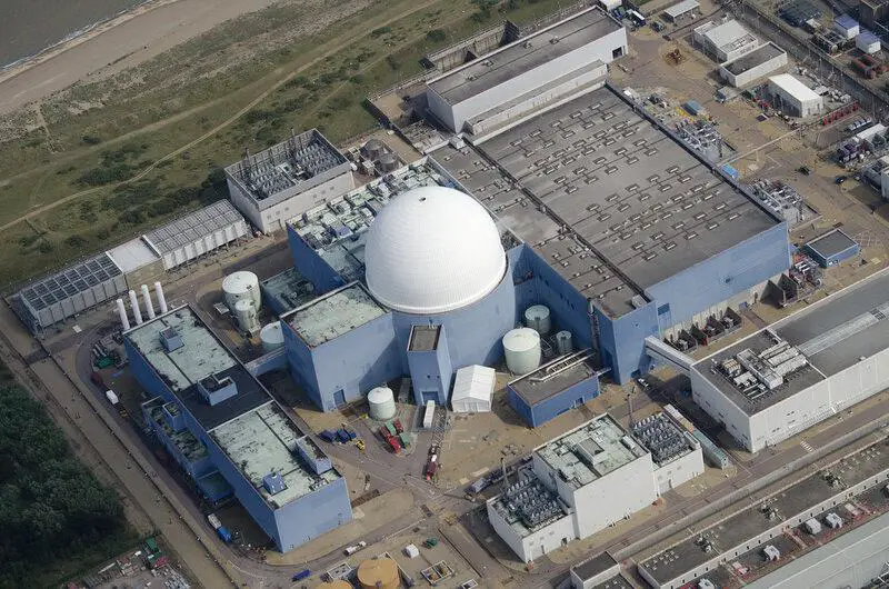 The Animal That Walked Into a Nuclear Reactor and Came Out Stronger