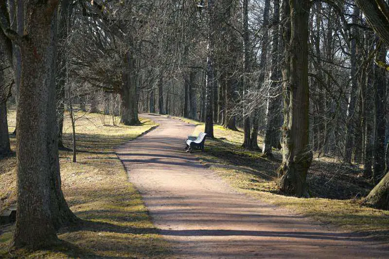 Why Walking Backwards for 10 Minutes Daily Is the New Fitness Trend Everyone’s Talking About