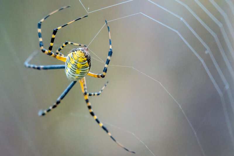 The 23 “Science Facts” Everyone Still Believes That Are Actually Complete Nonsense