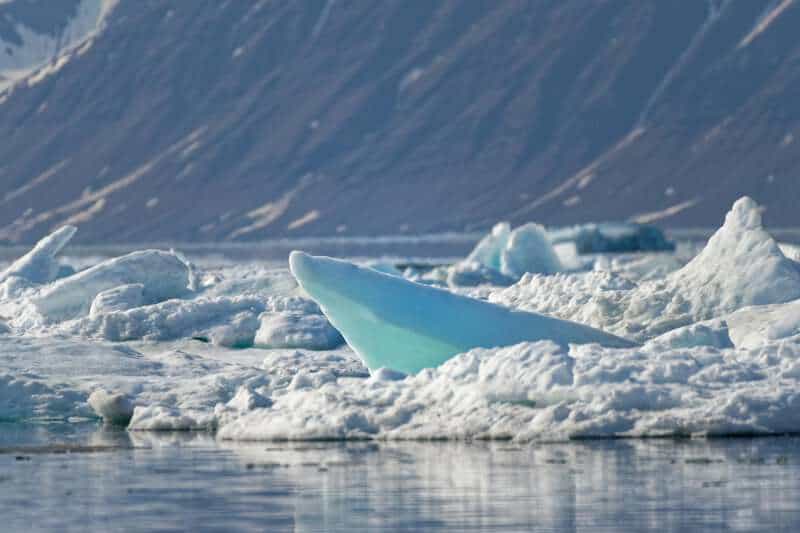 Climate Science Research Reveals Antarctic Greening Signals Rapid Ecosystem Disruption and Climate Tipping Points