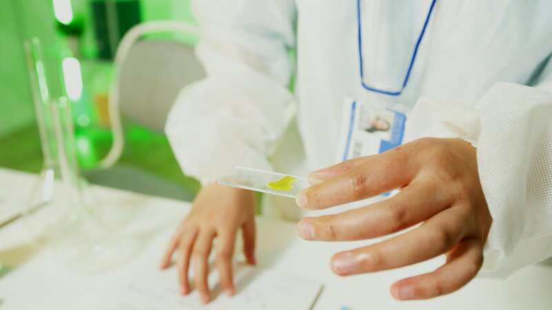 Why Some People Never Get Sick—The Genetic Lottery That Creates Super Immune Systems