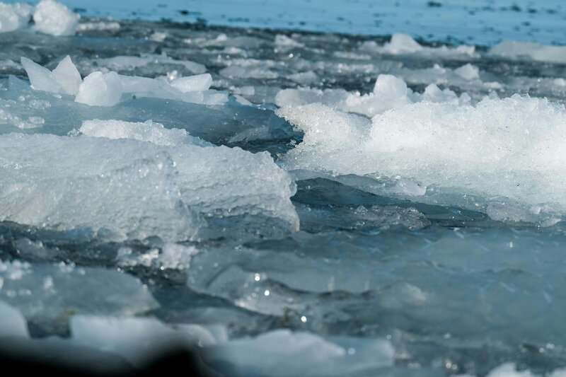 Climate Science Research Reveals Antarctic Greening Signals Rapid Ecosystem Disruption and Climate Tipping Points