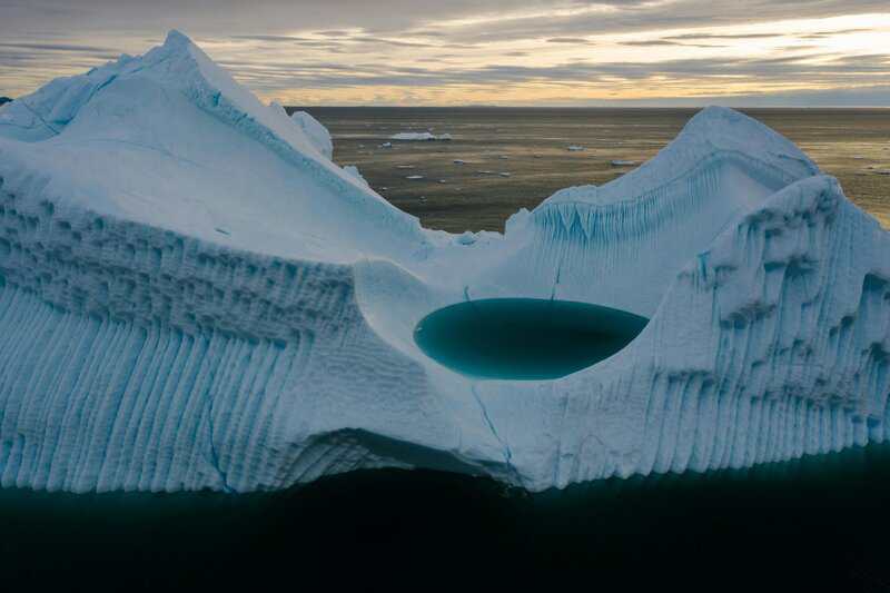 Antarctica Is Growing New Forests—But It’s Not Good News