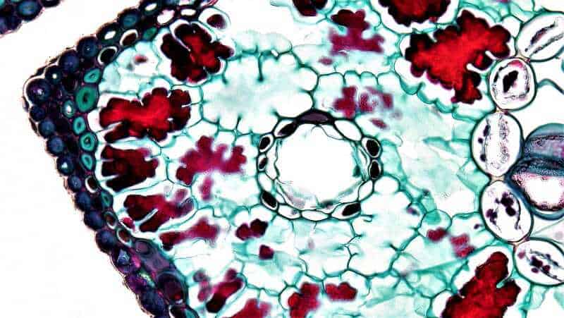 Every Atom in Your Body Is Billions of Years Old—Except for One Element