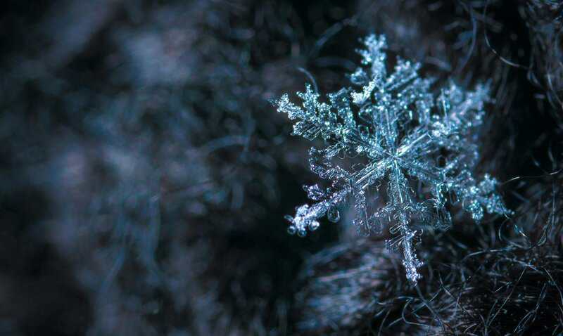 Zombie Molecules: 15 Non-Living Things That Acted Alive