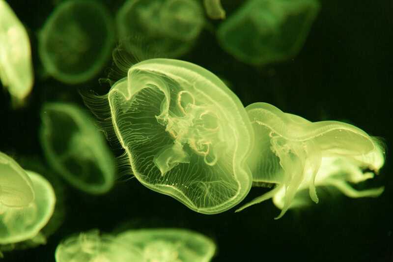 15 Strange Medical Conditions That Sound Made Up—but Aren’t