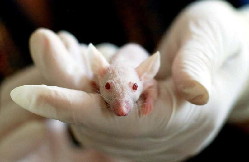 15 Times Science Pushed the Limits of Ethics