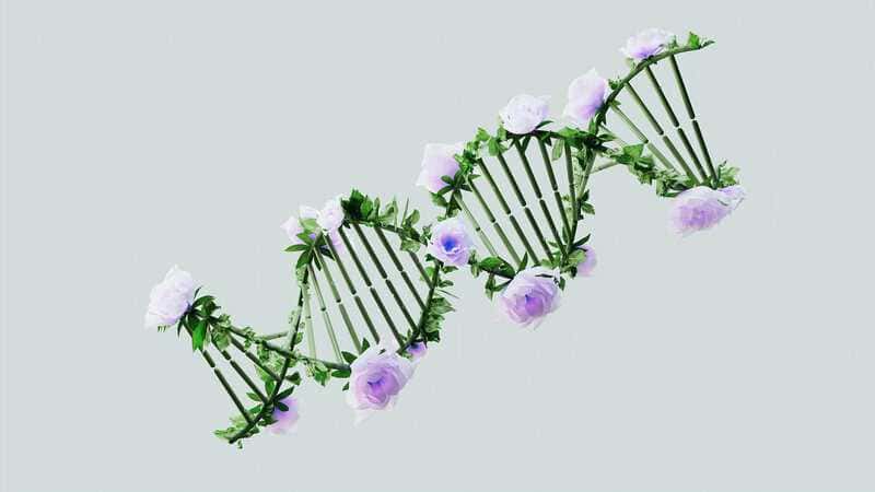 15 Scientific Paths to Immortality: Can Humans Really Live Forever?