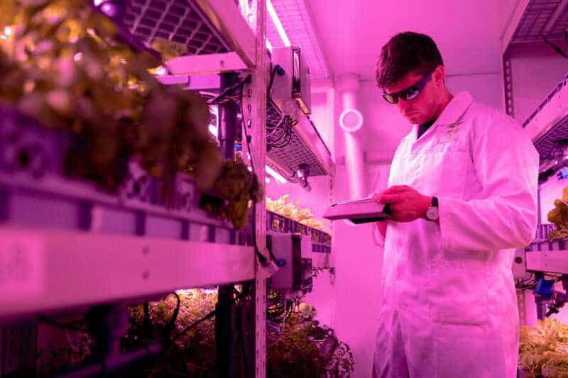 15 Strange Foods Scientists Have Created in the Lab