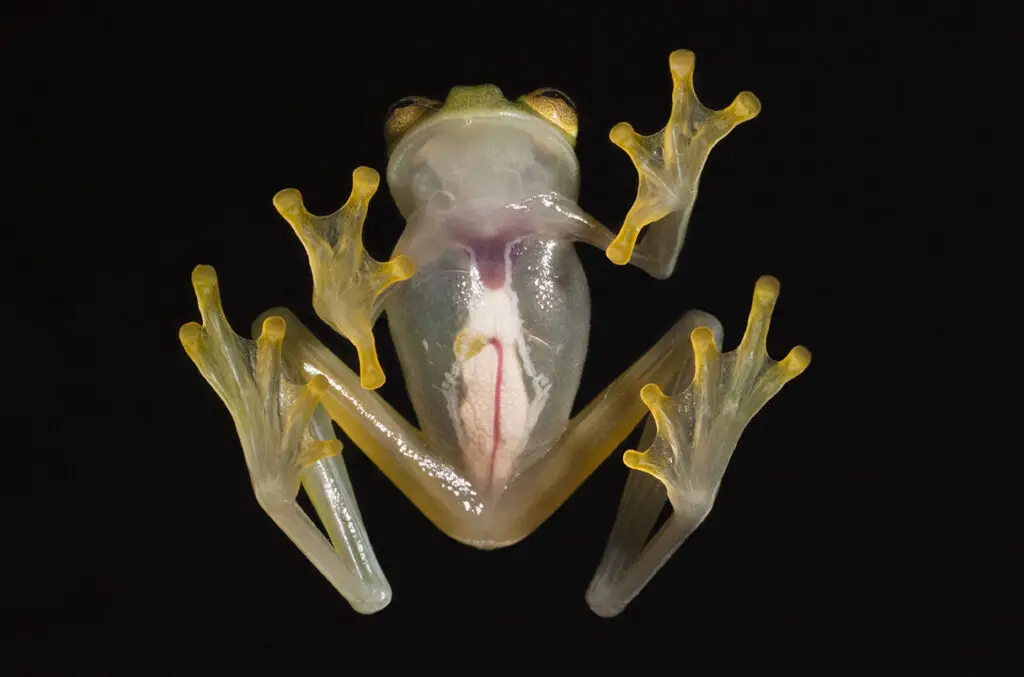 15 Strange but True Discoveries From Cutting-Edge Research Labs