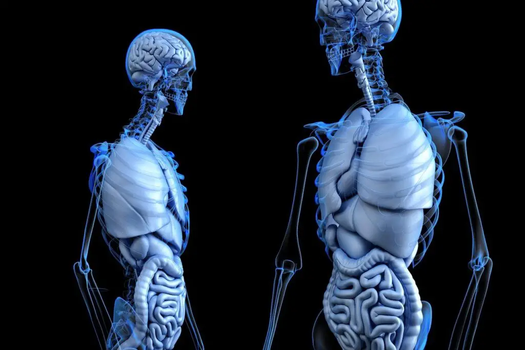 The Woman Who Lives Without Pain—And the Dark Secret Her DNA Revealed